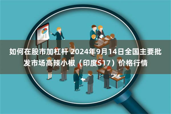 如何在股市加杠杆 2024年9月14日全国主要批发市场高辣小椒（印度S17）价格行情