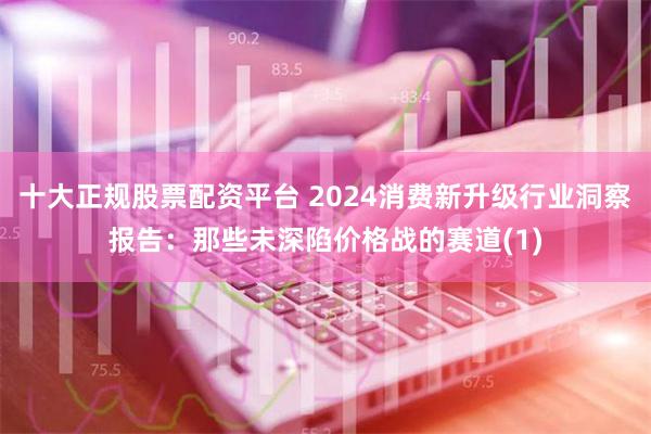 十大正规股票配资平台 2024消费新升级行业洞察报告：那些未深陷价格战的赛道(1)