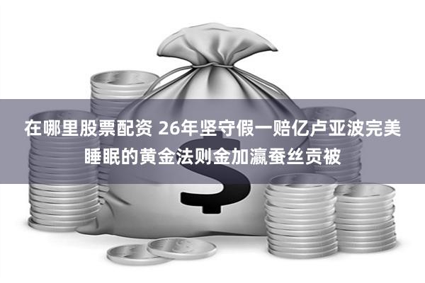 在哪里股票配资 26年坚守假一赔亿卢亚波完美睡眠的黄金法则金加瀛蚕丝贡被