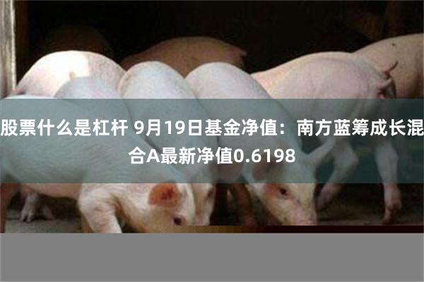 股票什么是杠杆 9月19日基金净值：南方蓝筹成长混合A最新净值0.6198