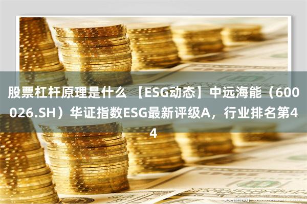 股票杠杆原理是什么 【ESG动态】中远海能（600026.SH）华证指数ESG最新评级A，行业排名第4