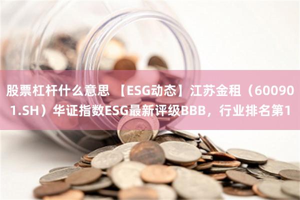 股票杠杆什么意思 【ESG动态】江苏金租（600901.SH）华证指数ESG最新评级BBB，行业排名第1