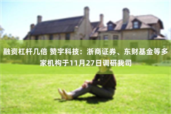 融资杠杆几倍 赞宇科技：浙商证券、东财基金等多家机构于11月27日调研我司