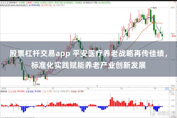 股票杠杆交易app 平安医疗养老战略再传佳绩，标准化实践赋能养老产业创新发展