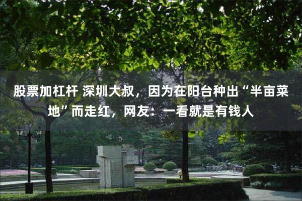 股票加杠杆 深圳大叔，因为在阳台种出“半亩菜地”而走红，网友：一看就是有钱人