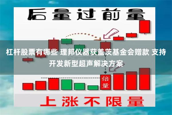 杠杆股票有哪些 理邦仪器获盖茨基金会赠款 支持开发新型超声解决方案