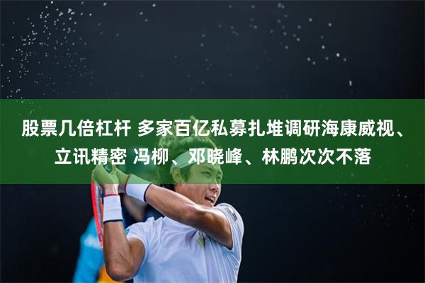 股票几倍杠杆 多家百亿私募扎堆调研海康威视、立讯精密 冯柳、邓晓峰、林鹏次次不落