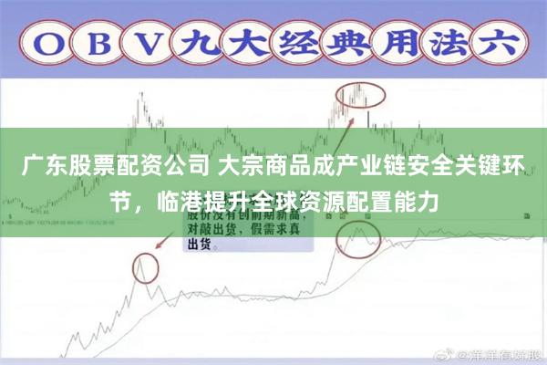 广东股票配资公司 大宗商品成产业链安全关键环节，临港提升全球资源配置能力