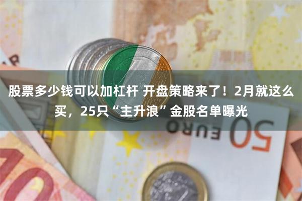 股票多少钱可以加杠杆 开盘策略来了！2月就这么买，25只“主升浪”金股名单曝光